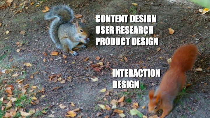 Red squirrel with interaction design, grey squirrel with content design, user research, and product design